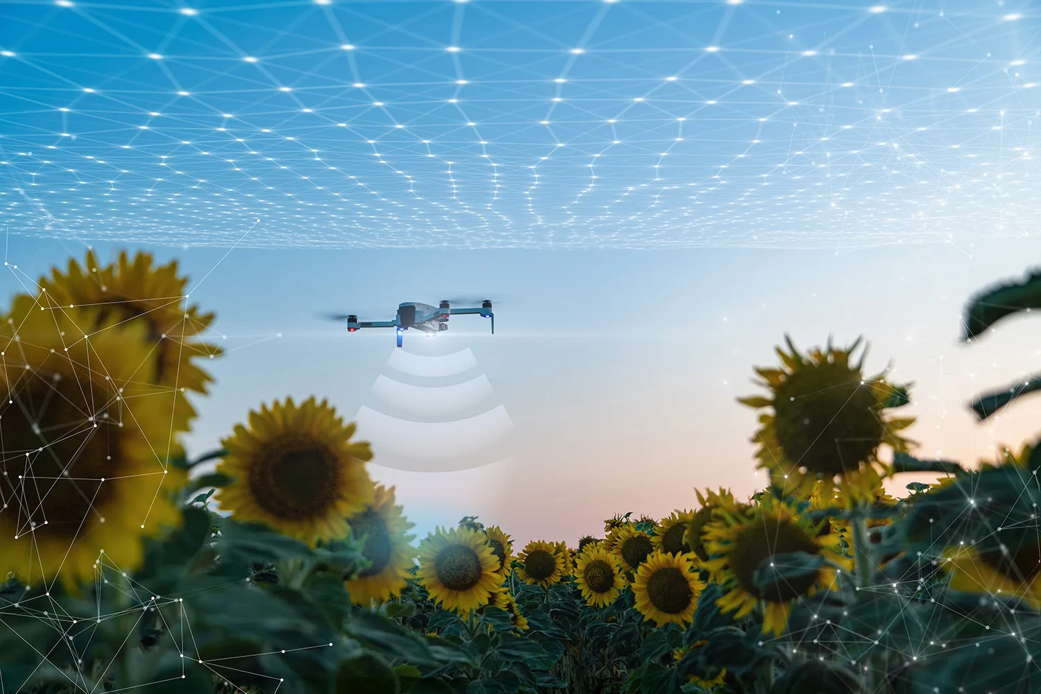 Photo - Russia Builds a Robust Robotics Ecosystem