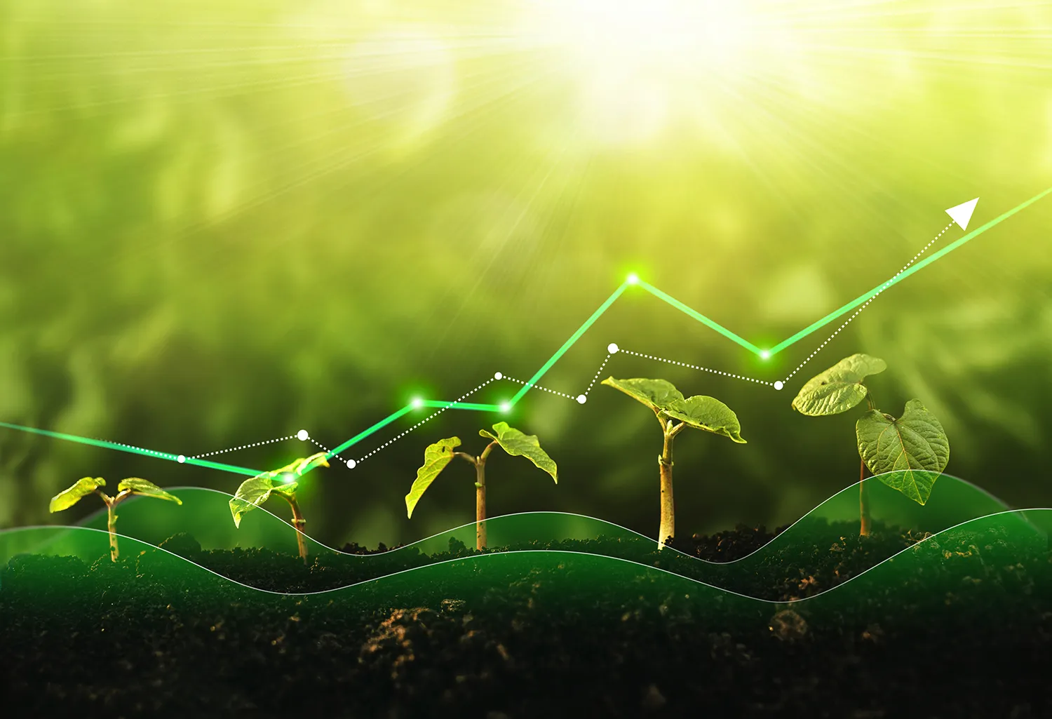Photo - One Platform to Serve All: Russia Launches Unified Digital Agriculture Portal