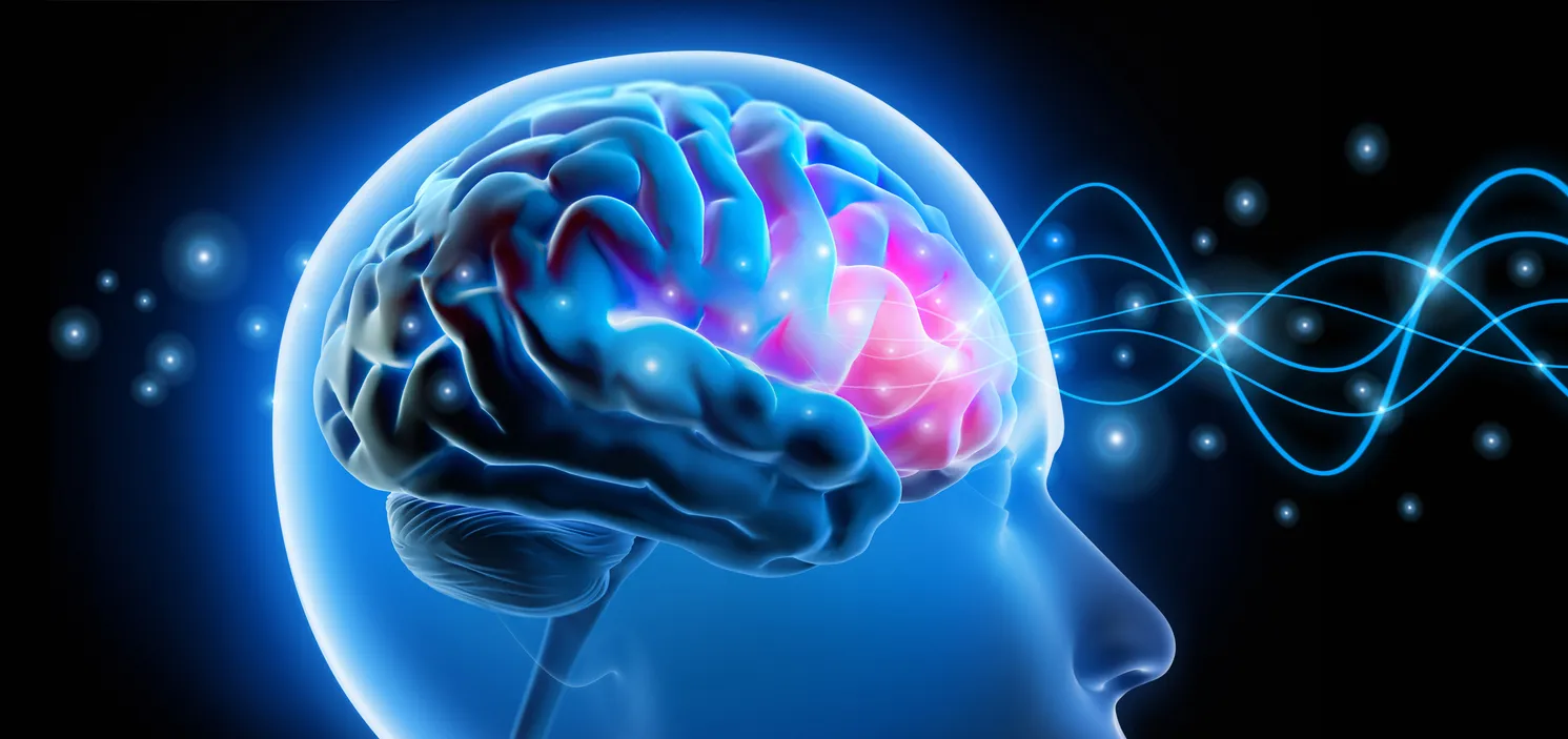 In Russia, Scientists Learn to Control Objects With the Power of Thought