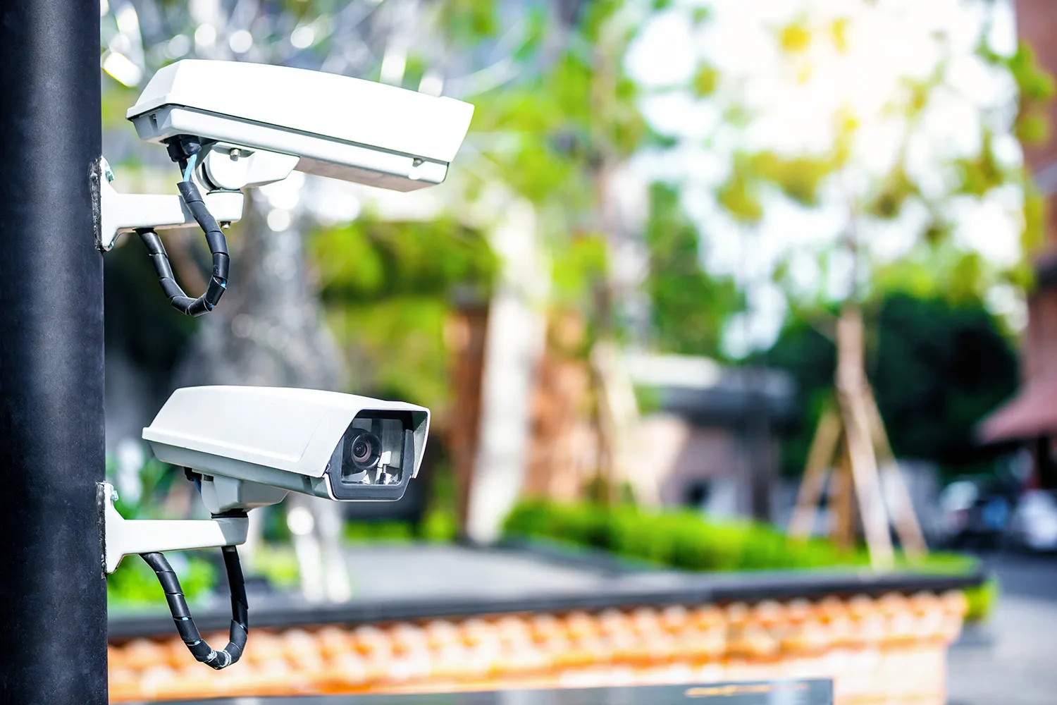 Photo - AI to Help Locate Missing Children in Novosibirsk Region