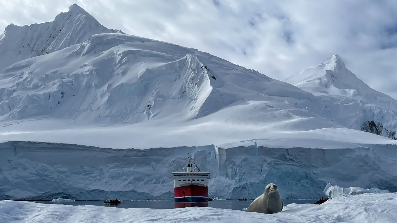 Russian Telecom Operator Expands Mobile Coverage to Another Antarctic Bay