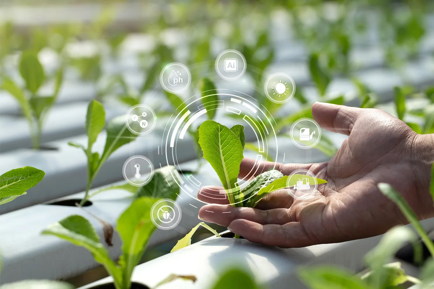 Photo - Smart Oversight: AI to Prevent Unnecessary Inspections