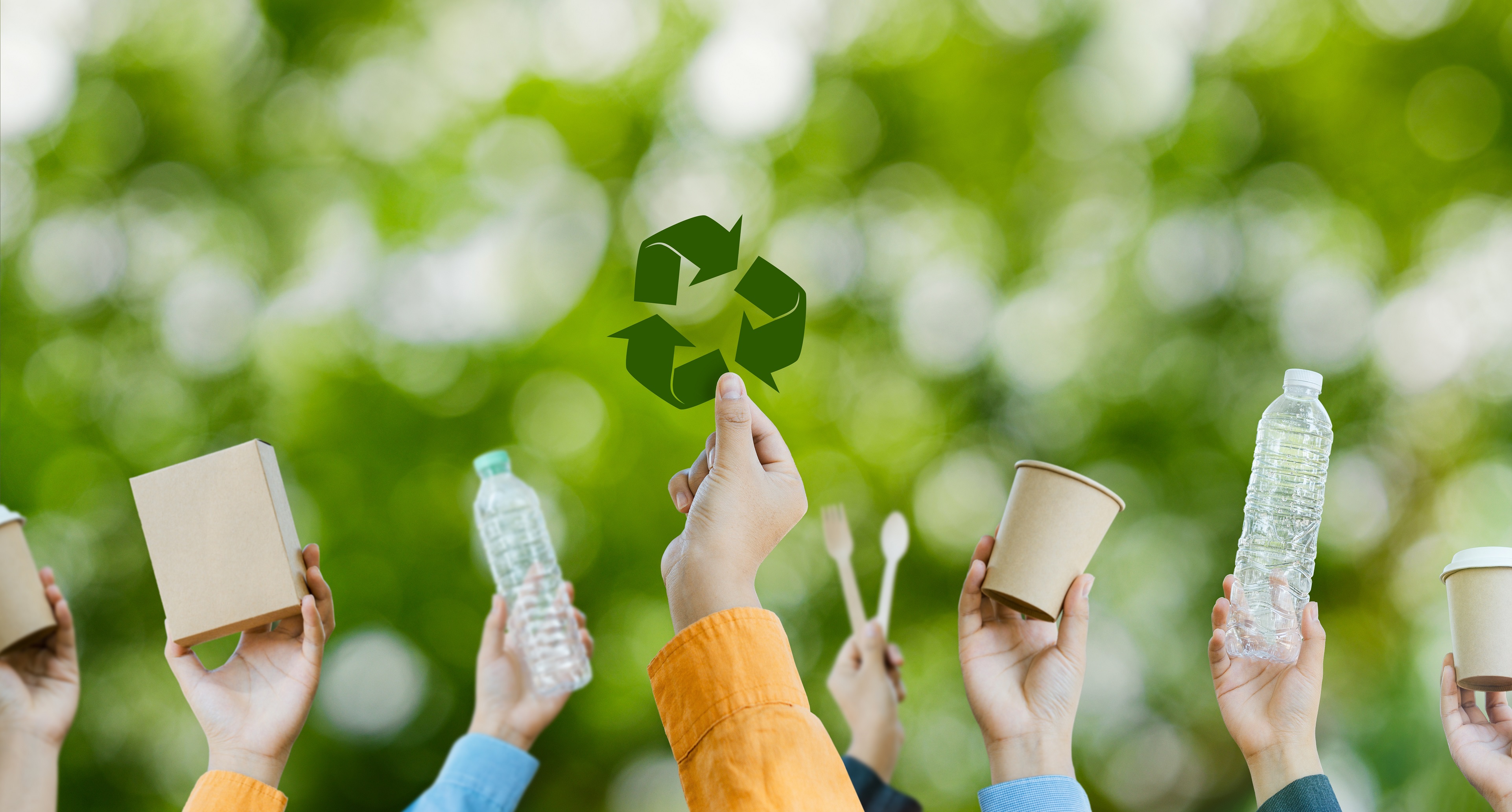 AI Takes On Landfills and Bird Hazards in Russia