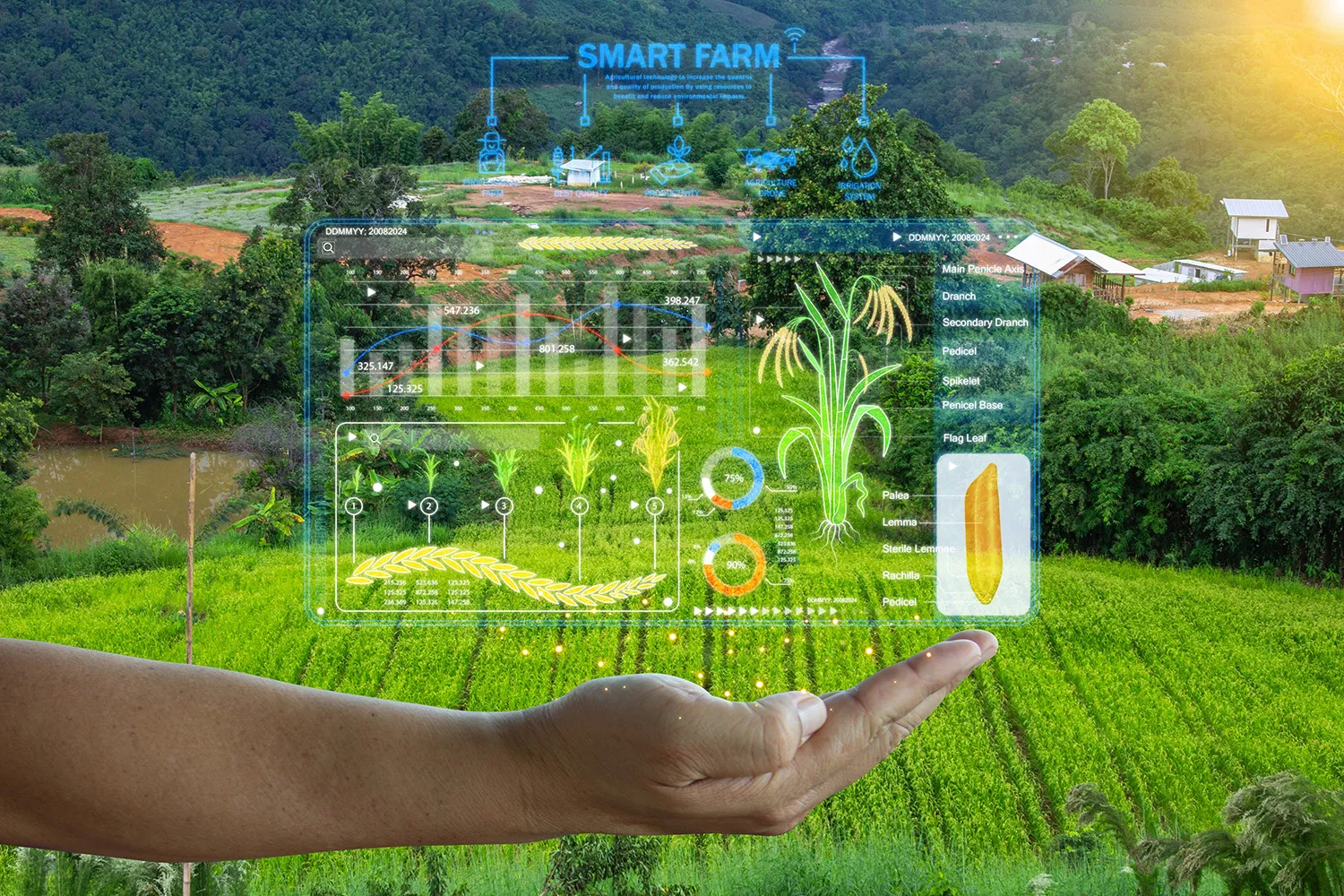 Photo - Digital Farming Assistant: AI to the Rescue of Crops