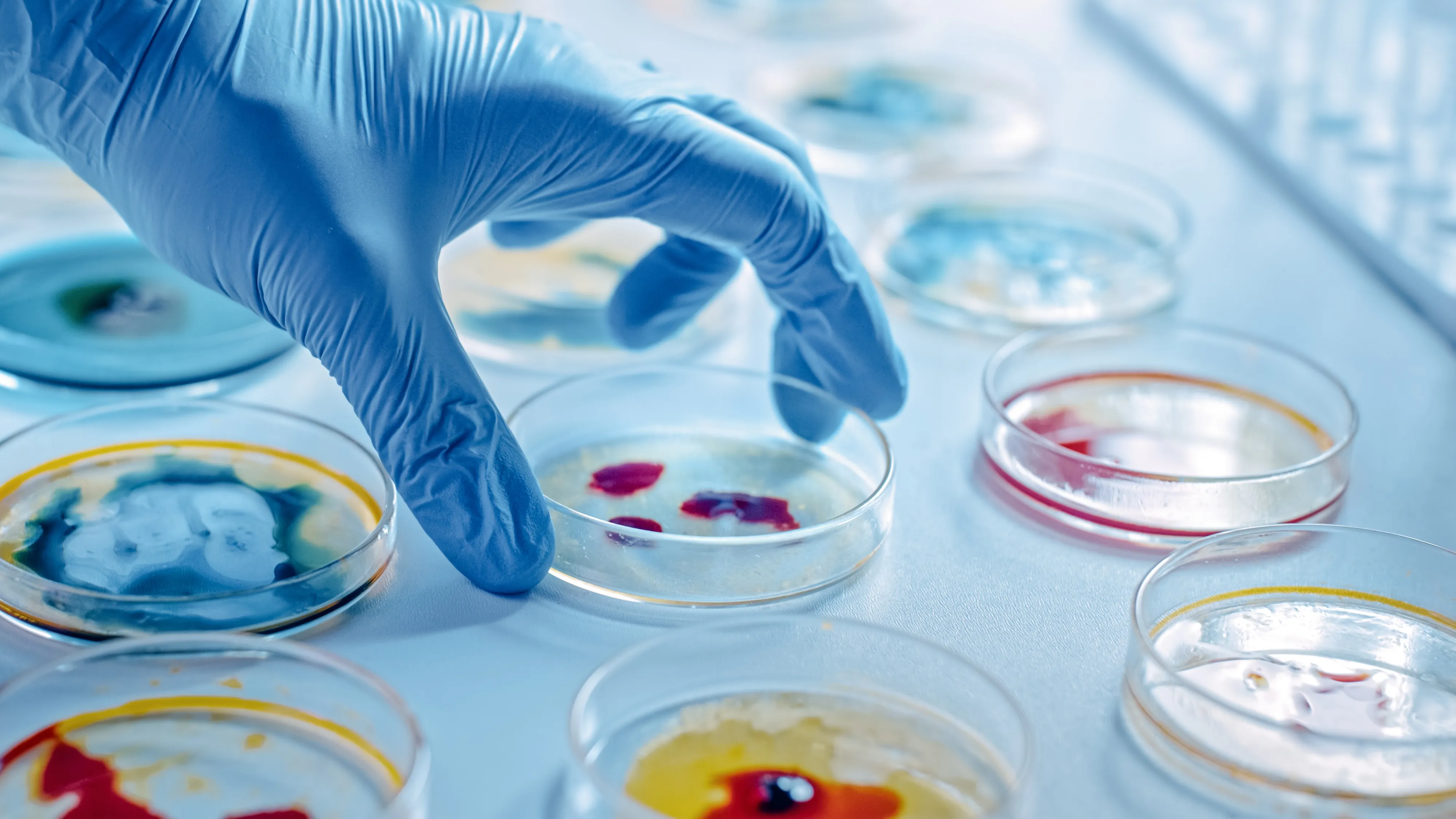Russia Opens New Frontiers in 3D Printing of Biocompatible Structures