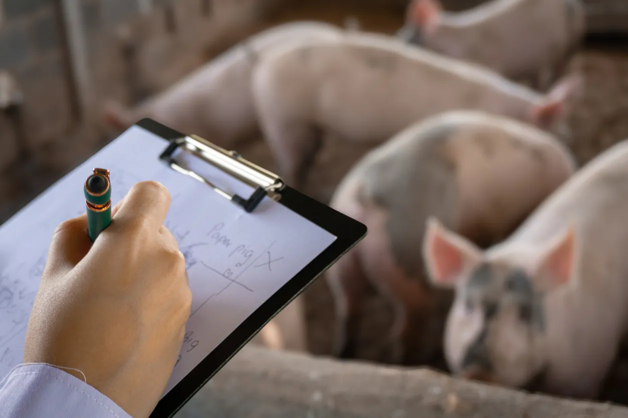 Russian Agroholding Deploys AI to Preserve Millions of Tons of Feed
