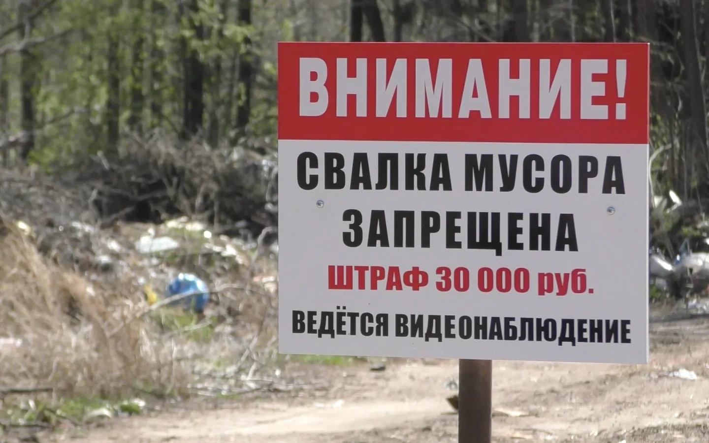 TSU Student Builds Map of Illegal Dump Sites in Tomsk With Real-Time Tracking