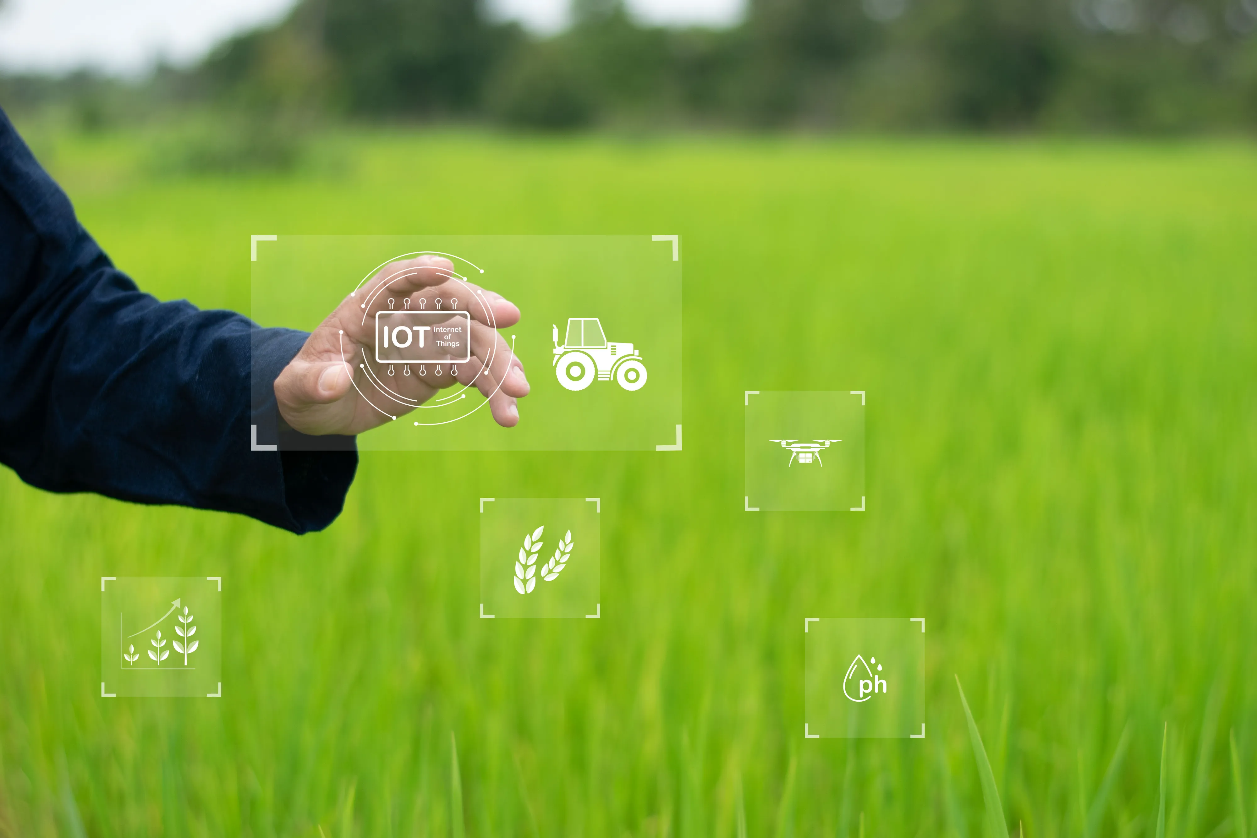 AI to Safeguard Russia’s Largest Fertilizer Supplier