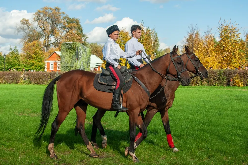 Cossack Traditions and Culture to Be Presented in VR Museums Across Russia