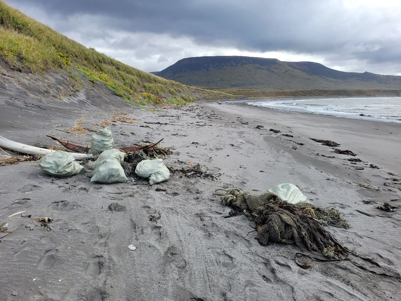 Artificial Intelligence Takes on Russia’s Coastal Cleanup
