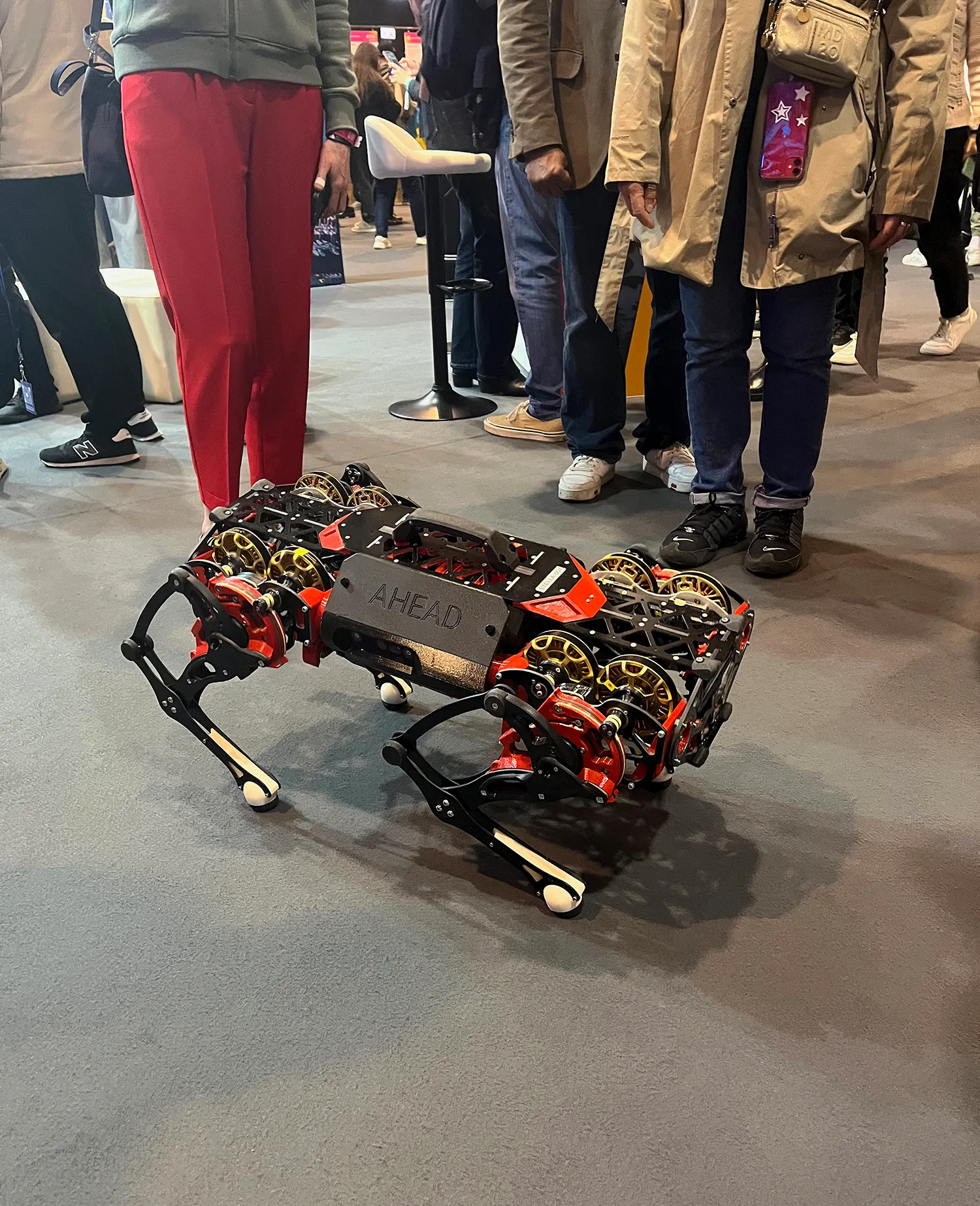 Photo - More Than a Pet Project: How Students in Ufa Are Reprogramming a Robotic Dog