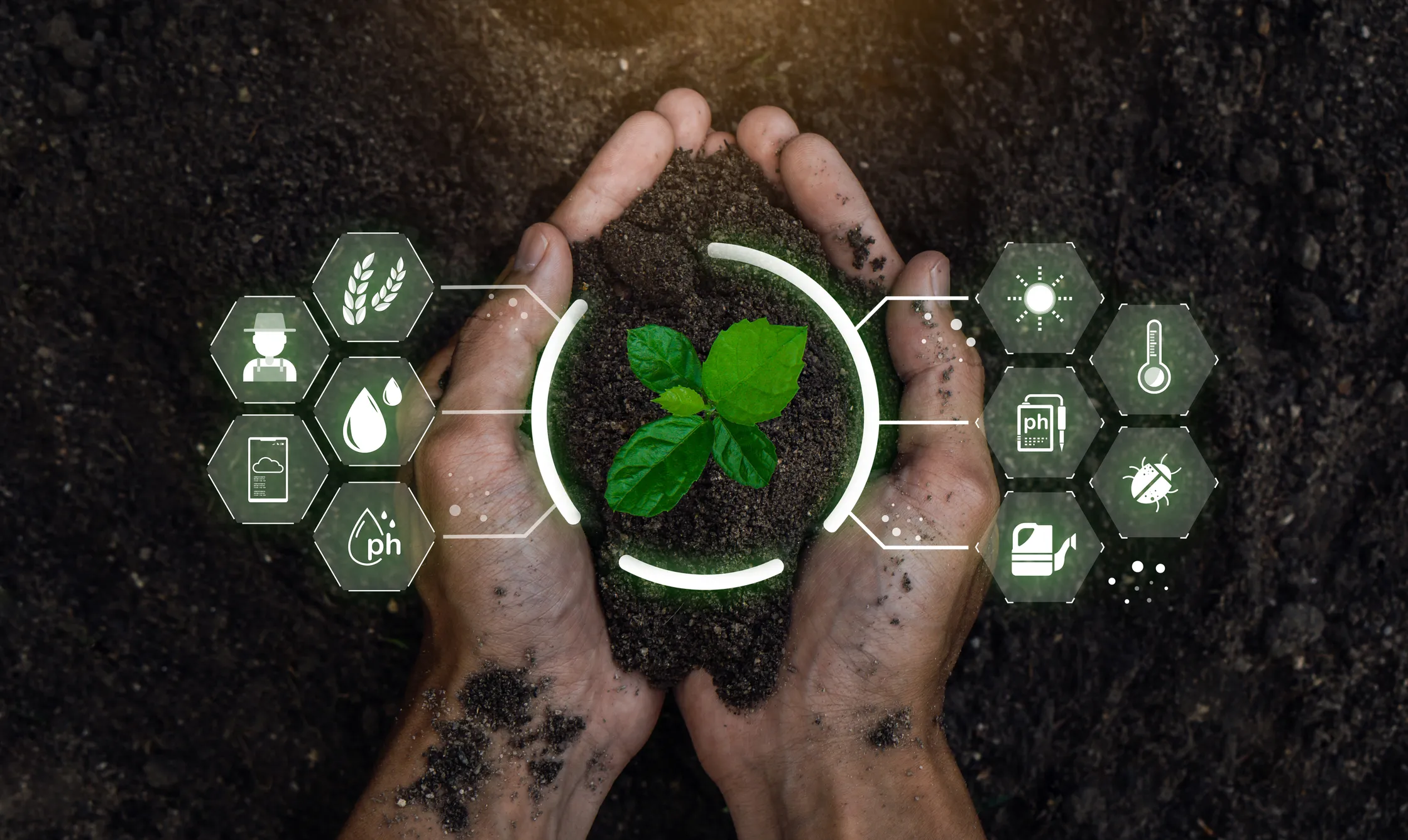 Russian Farmers to Receive Subsidies for Agricultural Innovation