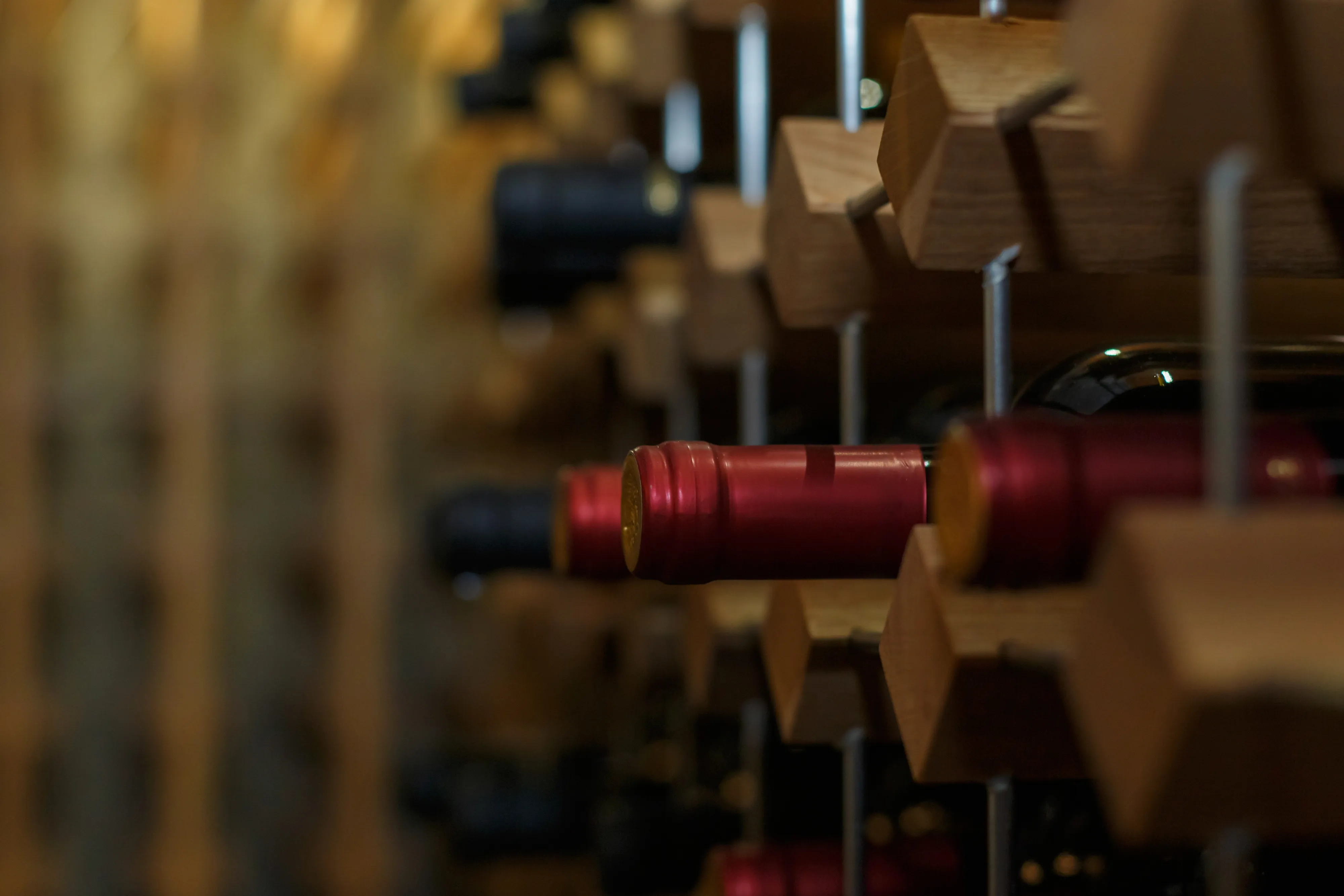 Russia Launches Its First Digital Platform Dedicated to Wine and Winemaking