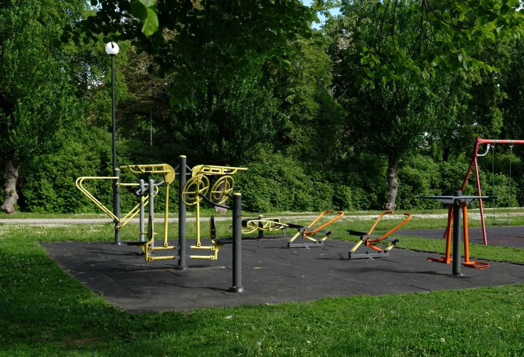 Photo - Parks in the Forest with One Click: Vologda Region Launches Digital Nature Module