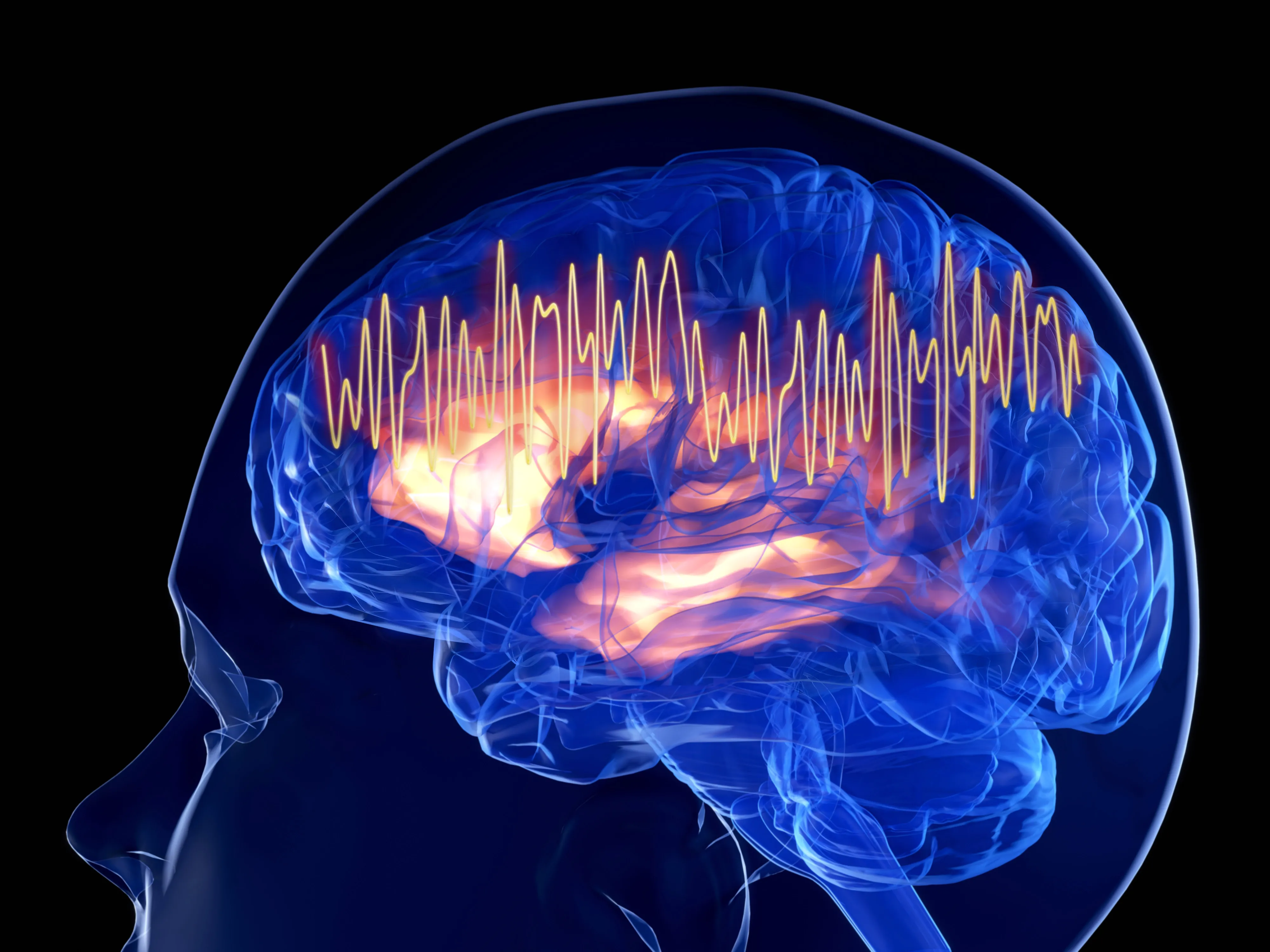 Russian Scientists Train AI to Detect Emotions From Brain Signals