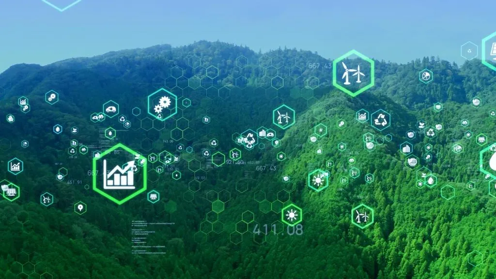 Photo - Seeds of the Future: Russian-Chinese Cooperation Is Transforming Forestry