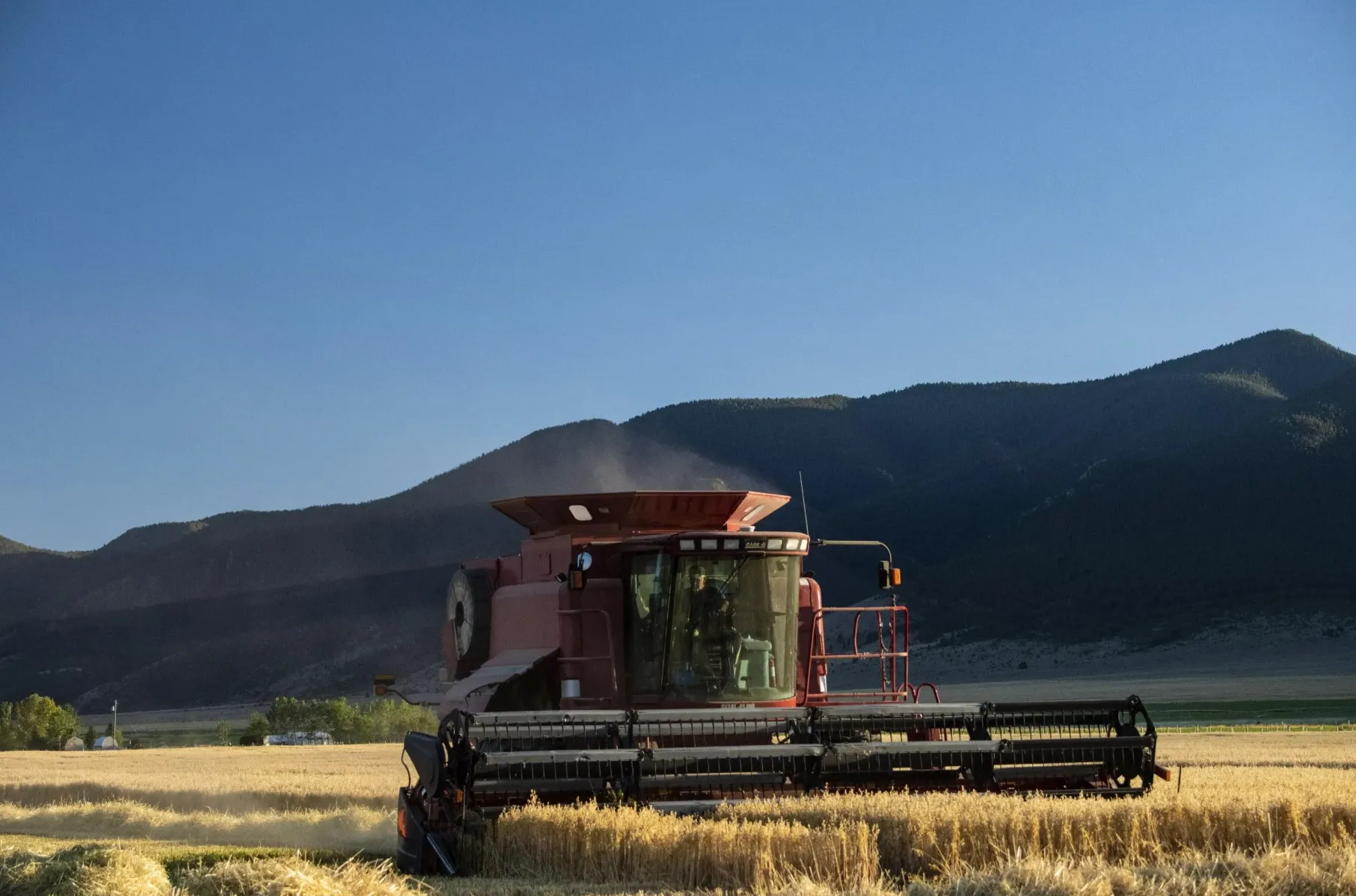 Satellite Navigation and Drones Help Tula Region Farmers Achieve Record Harvest