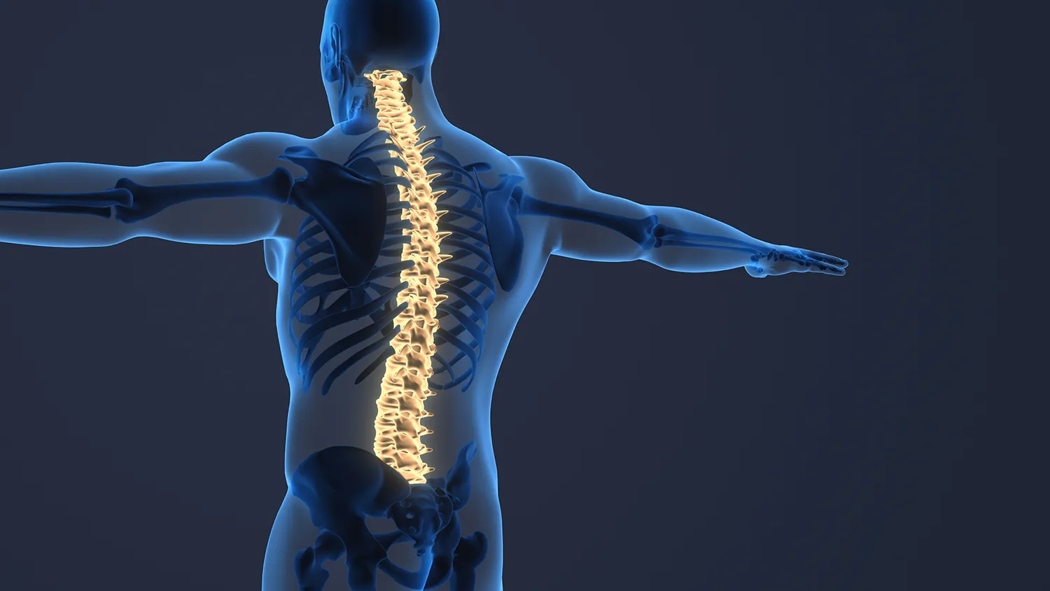 Photo - Russian AI Helps Detect the 'Silent Fracture' Disease