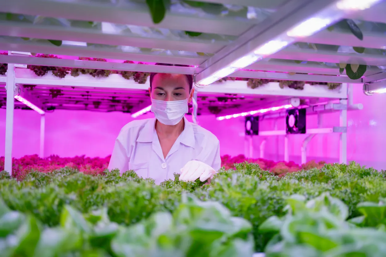 Russia and Belarus Create Digital Twins for Plants