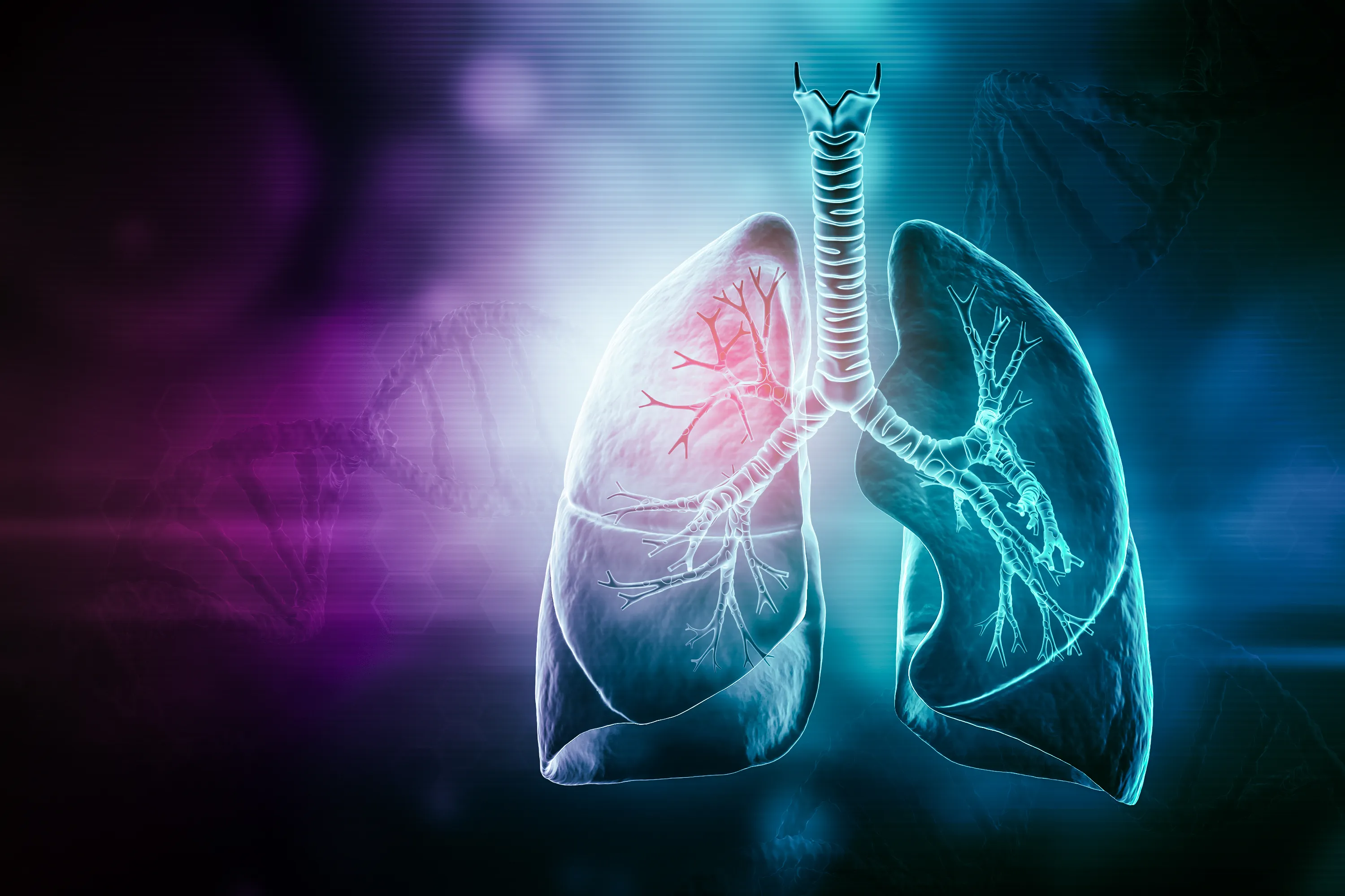 Russian Scientists Develop 3D Model to Combat Lung Diseases