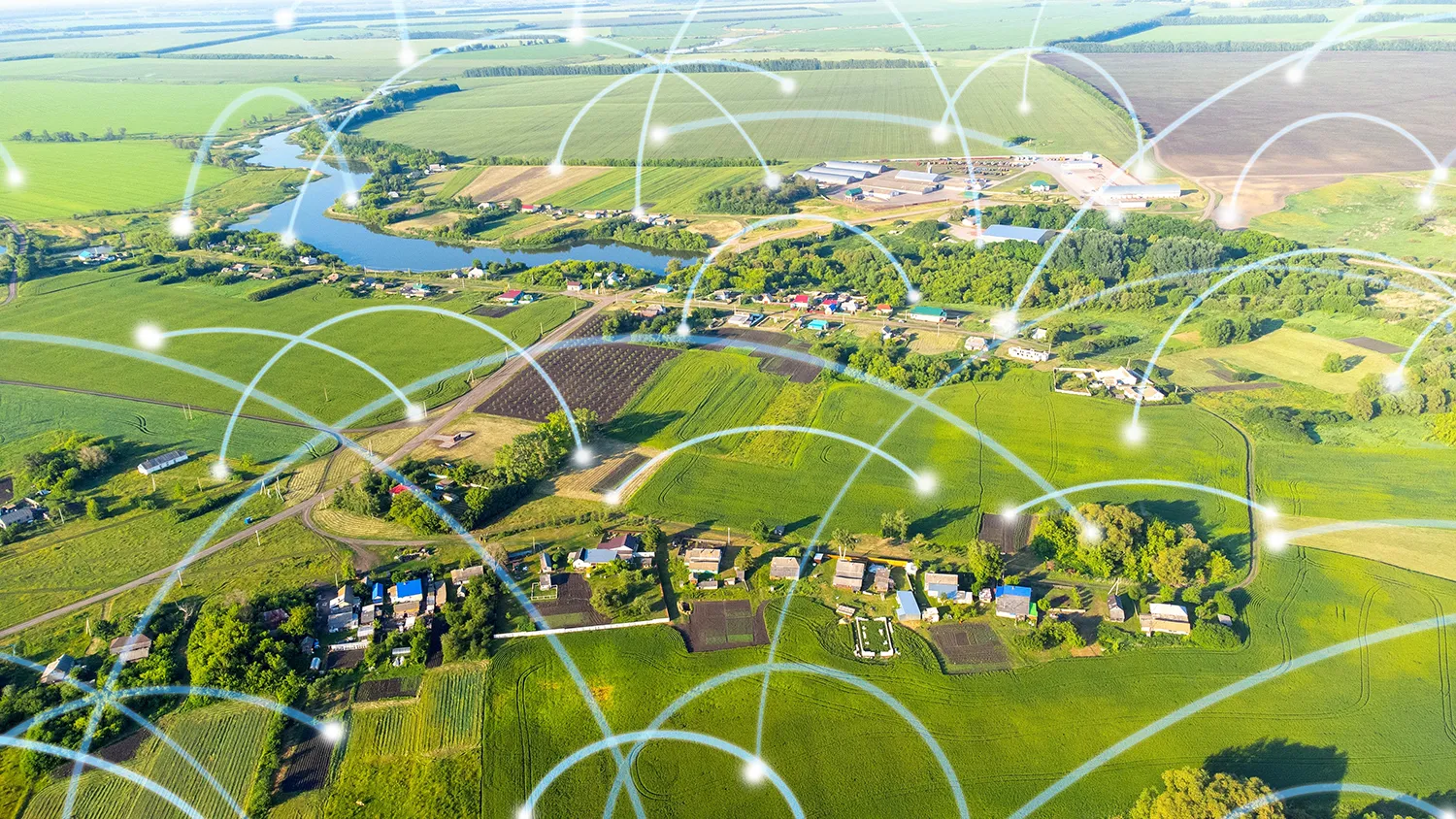 Precision Farming: How Russian AI Is Boosting Yields in Krasnodar