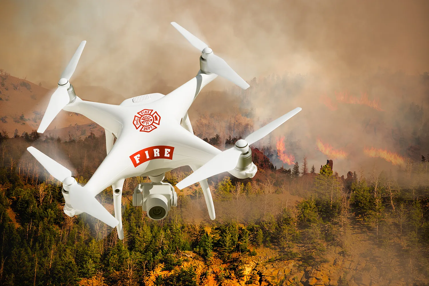 Photo - Smart Cameras and AI: Russia’s Forests Get High-Tech Wildfire Protection