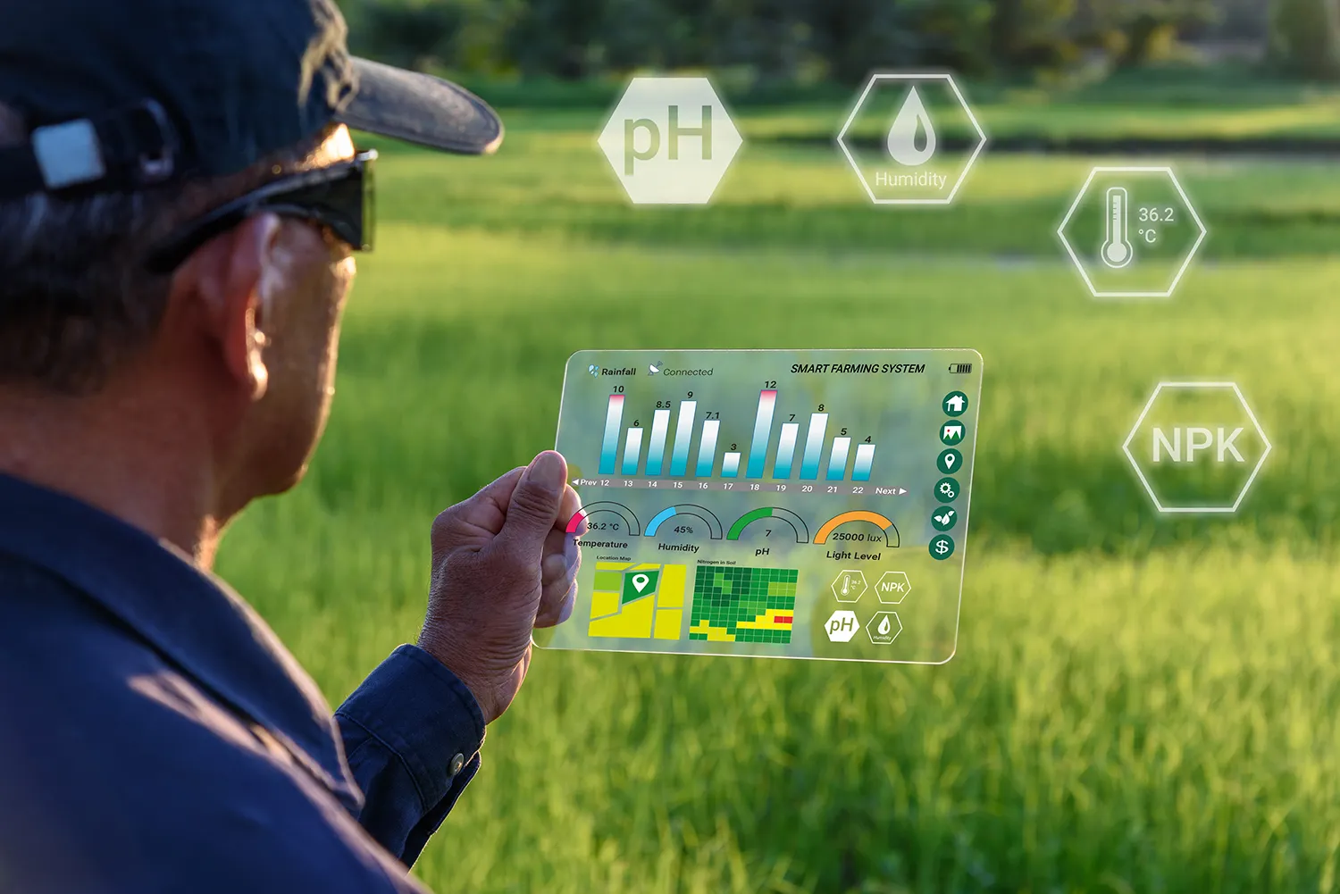 Photo - One Platform to Serve All: Russia Launches Unified Digital Agriculture Portal
