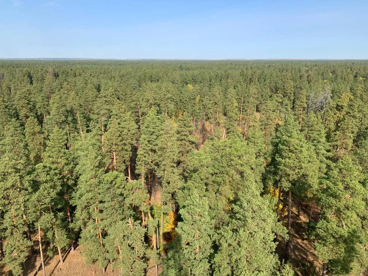 Russian National Park Swaps Human Fire Watchers for AI Drones and 24/7 Cameras