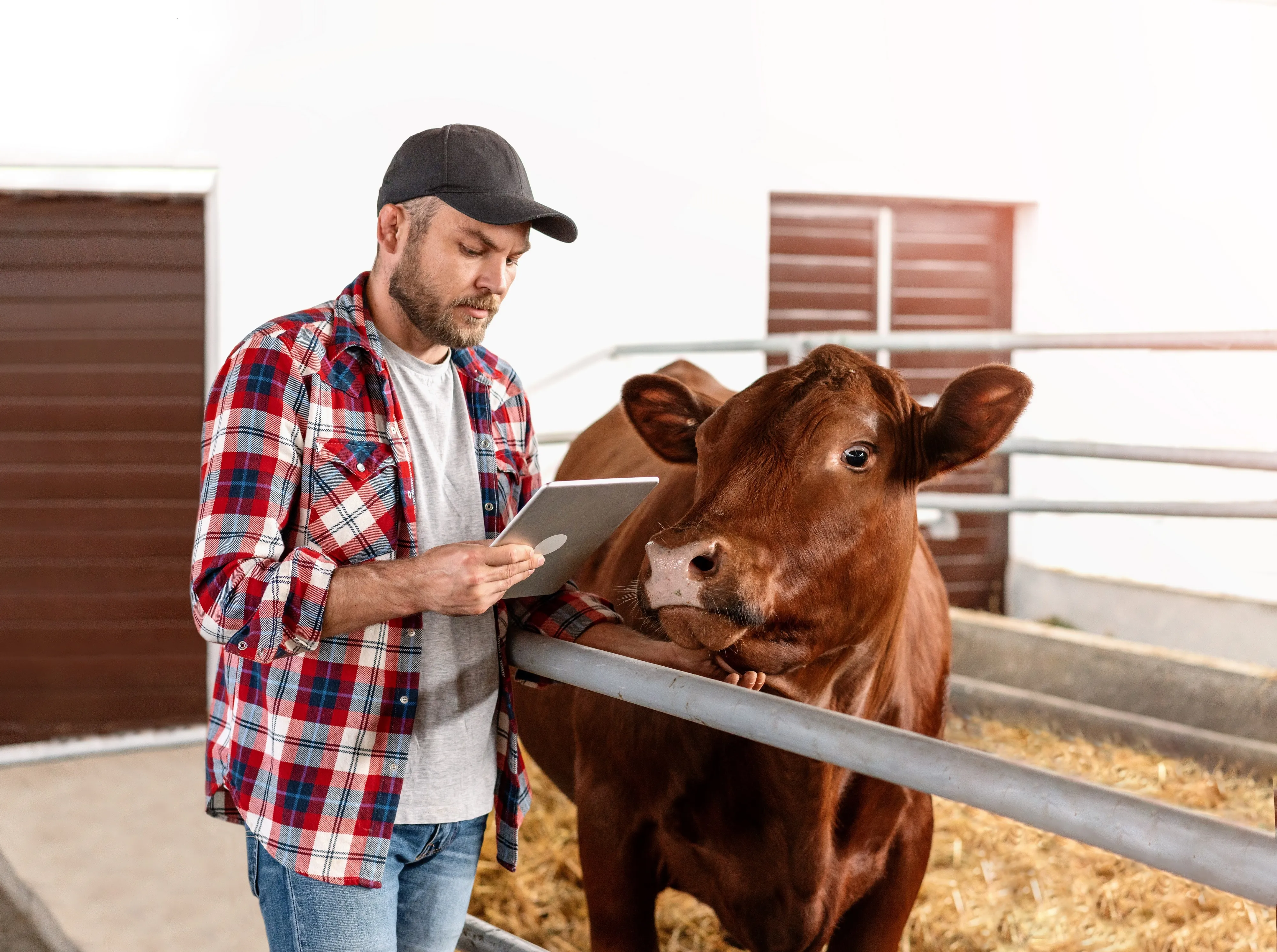 Russia Rolls Out AI-Driven Platform to Manage Dairy Herds