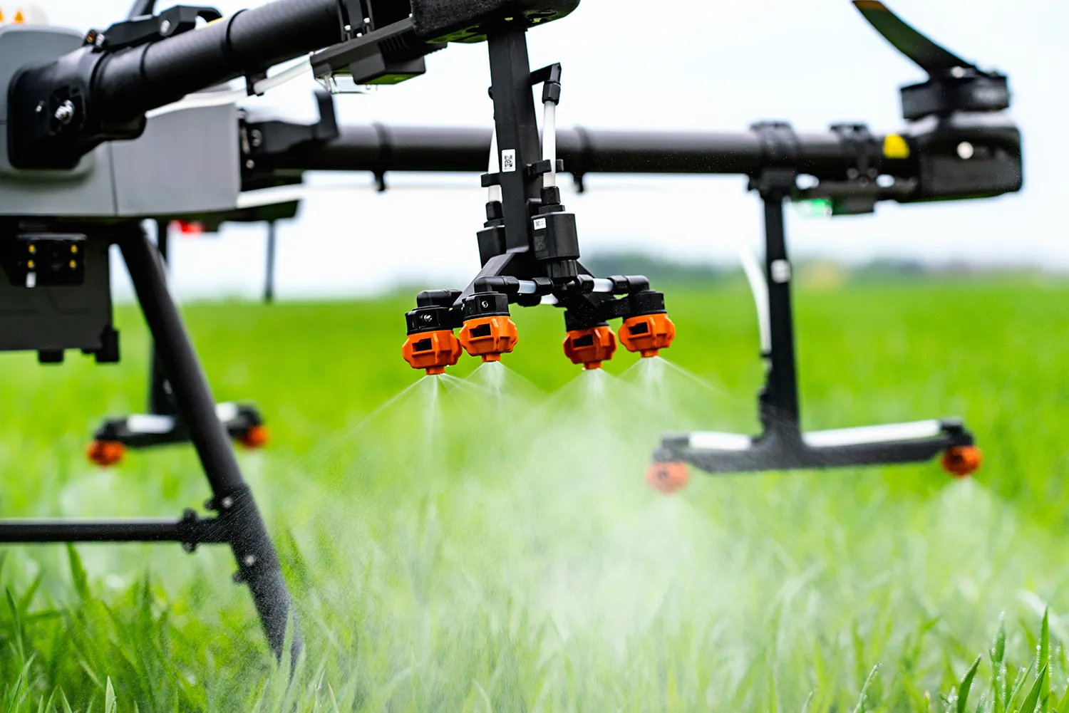 Photo - Freedom from Routine: How AI Is Transforming Russian Agriculture