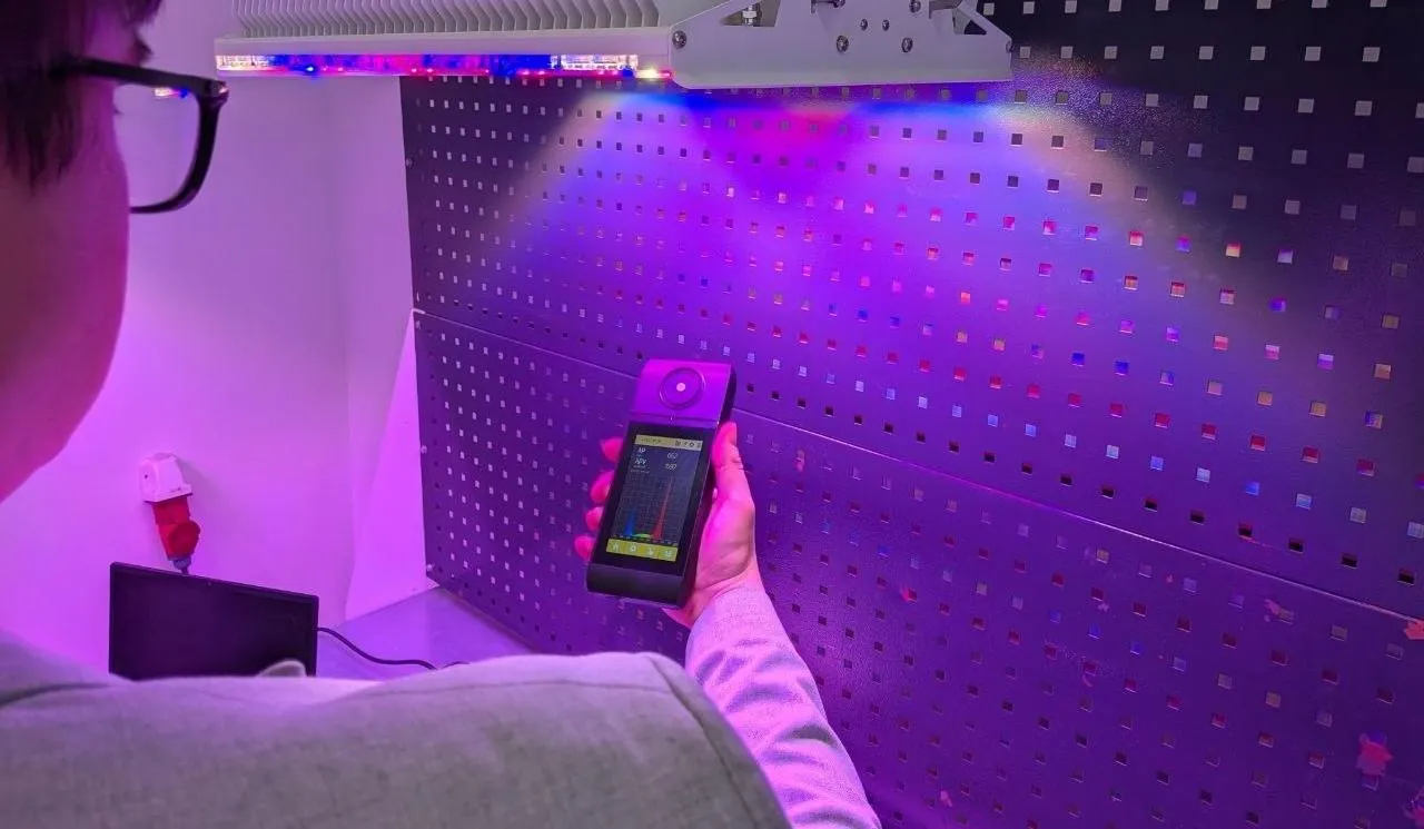 Rostov Scientists Develop Next-Generation Lighting System