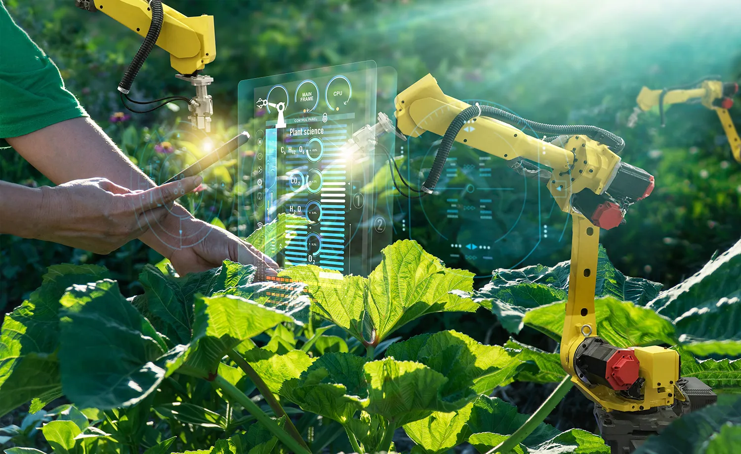 Photo - Digital Soil Twins: A New Tool for Boosting Crop Yields in Russia