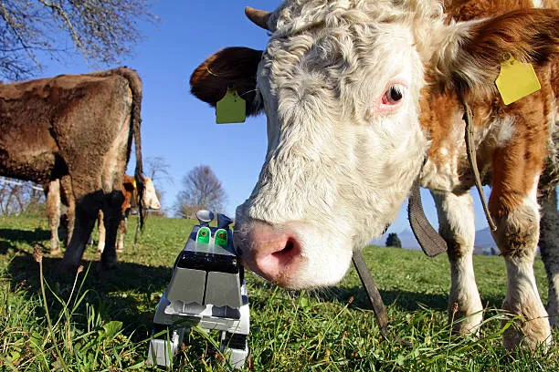 AI Skills Become a Requirement for Dairy Workers in Russia