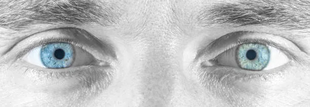 В России ИИ модели научатся всему с первого взгляда