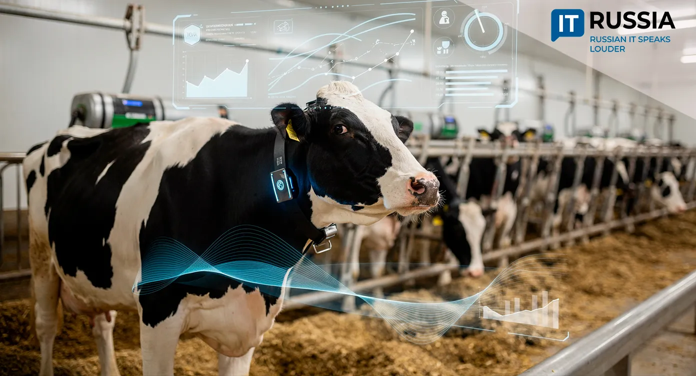 “Digitized” Cows Produce More Milk
