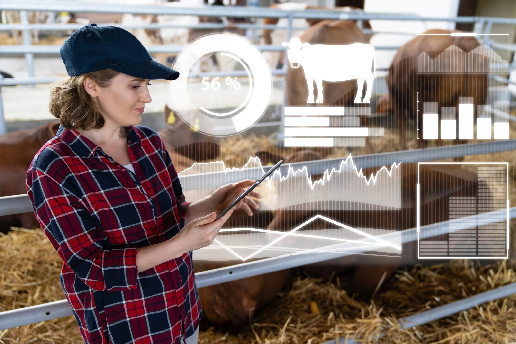 Russian Agribusiness Turns to Digital Tech with Rostelecom Solutions