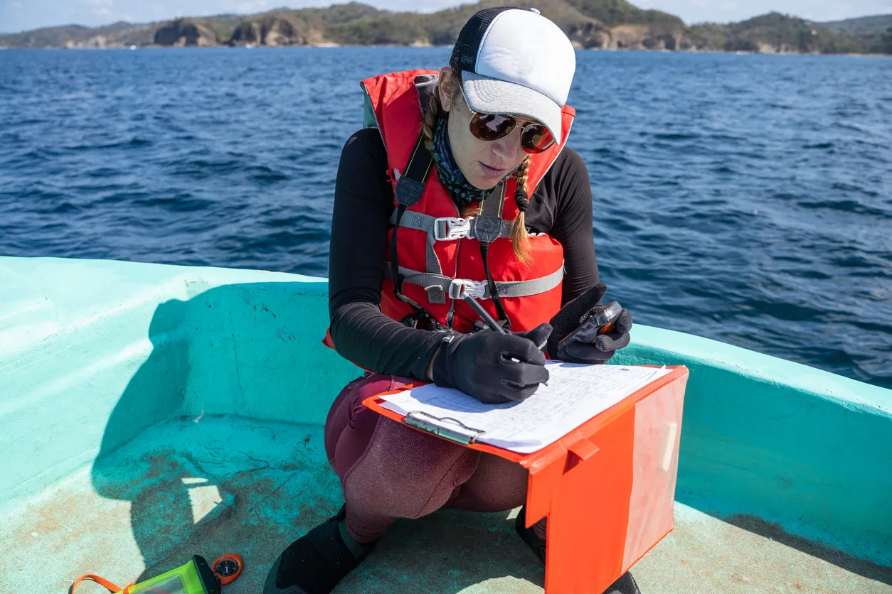 Russian Scientists Are Training a Neural Network to Model the Global Ocean—And Reinvent Climate Forecasting