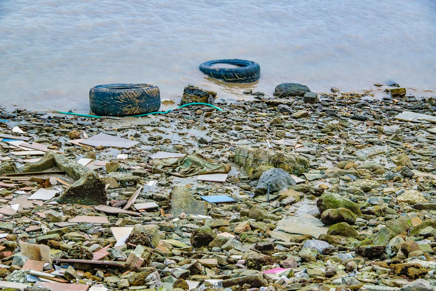 Photo - Cleaning the Ocean: Sakhalin Scientists Map Underwater Landfills with Autonomous Boats