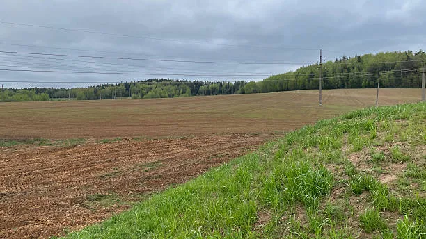 Russian Landowners to Challenge Cadastral Values Through Digital Platform