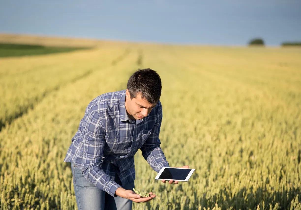 AI and National Projects Are Transforming Russian Agriculture
