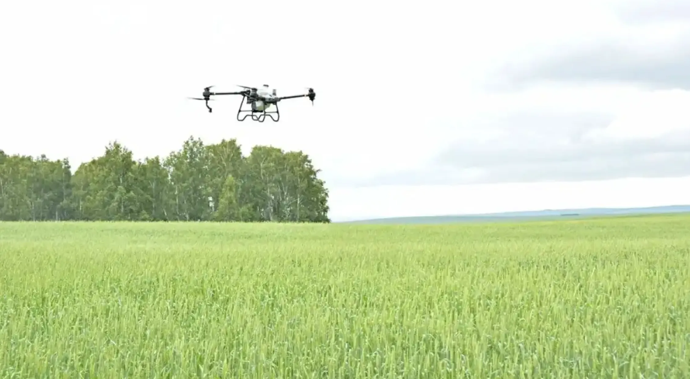 Chelyabinsk Region to Expand Drone-Treated Farmland Area