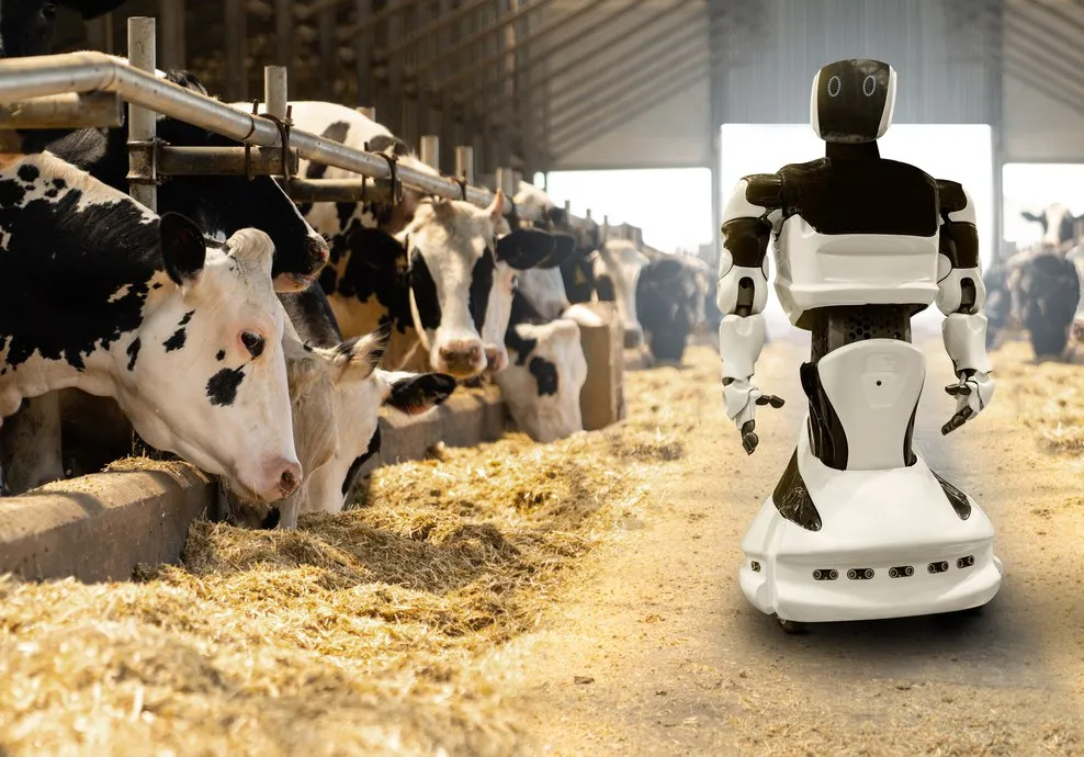 Smart Collar Boosts Dairy Production in Russia’s Moscow Region