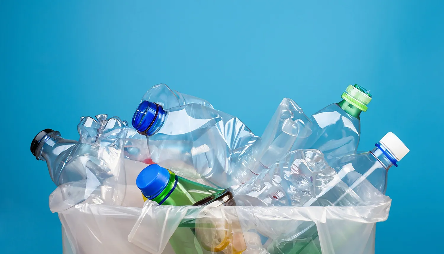 Photo - Robot vs. Plastic: Russian Student Develops AI to Spot PET Bottles in Landfills