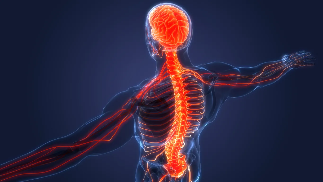 Russian Med Students to Learn Anatomy Through 3D Holographic Tables