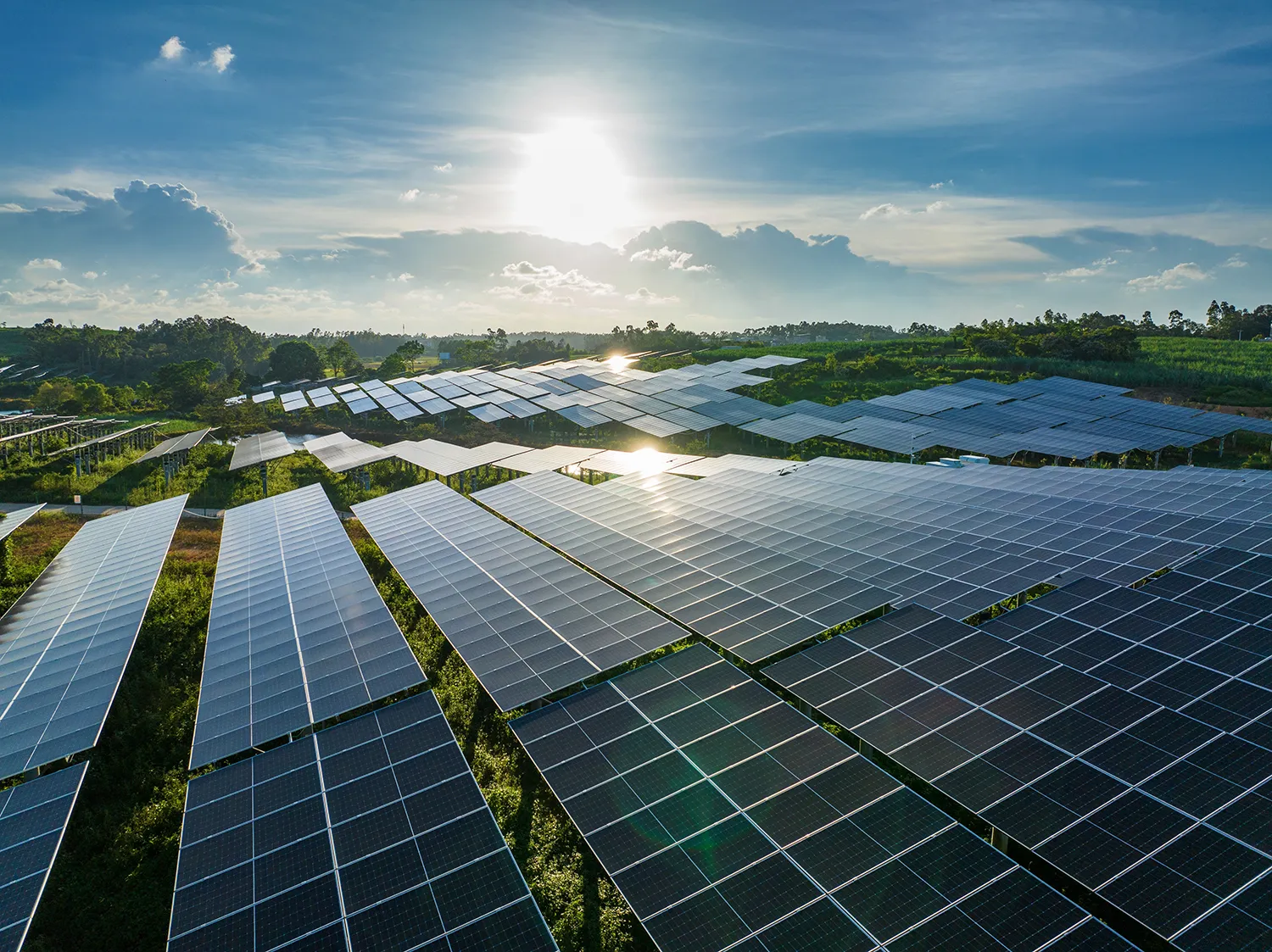 Photo - The Sun That Never Sets: How MEI Scientists Changed the Future of Energy