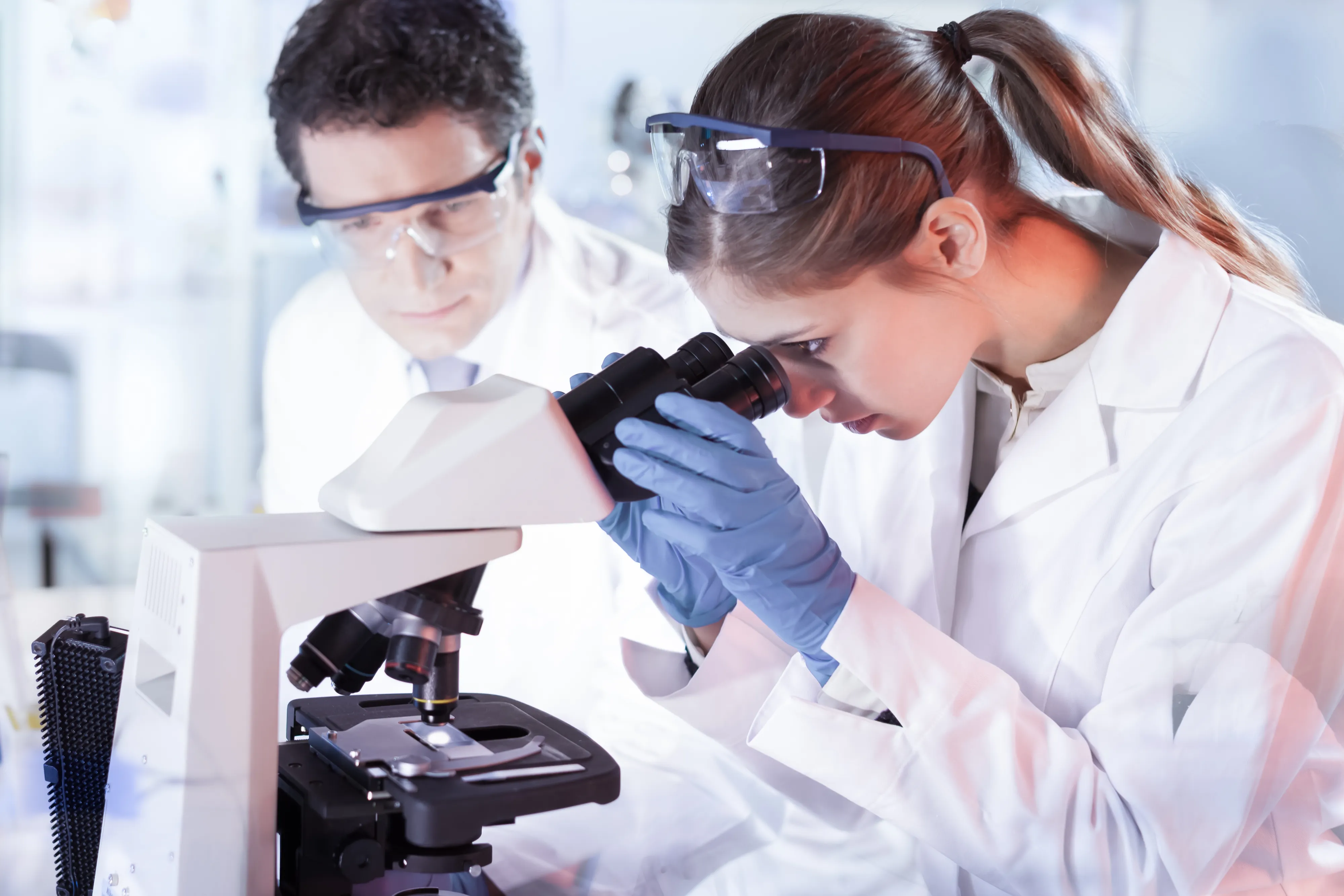 Photo - AI in the Petri Dish: Russia Launches Breakthrough Microbiological Analyzer