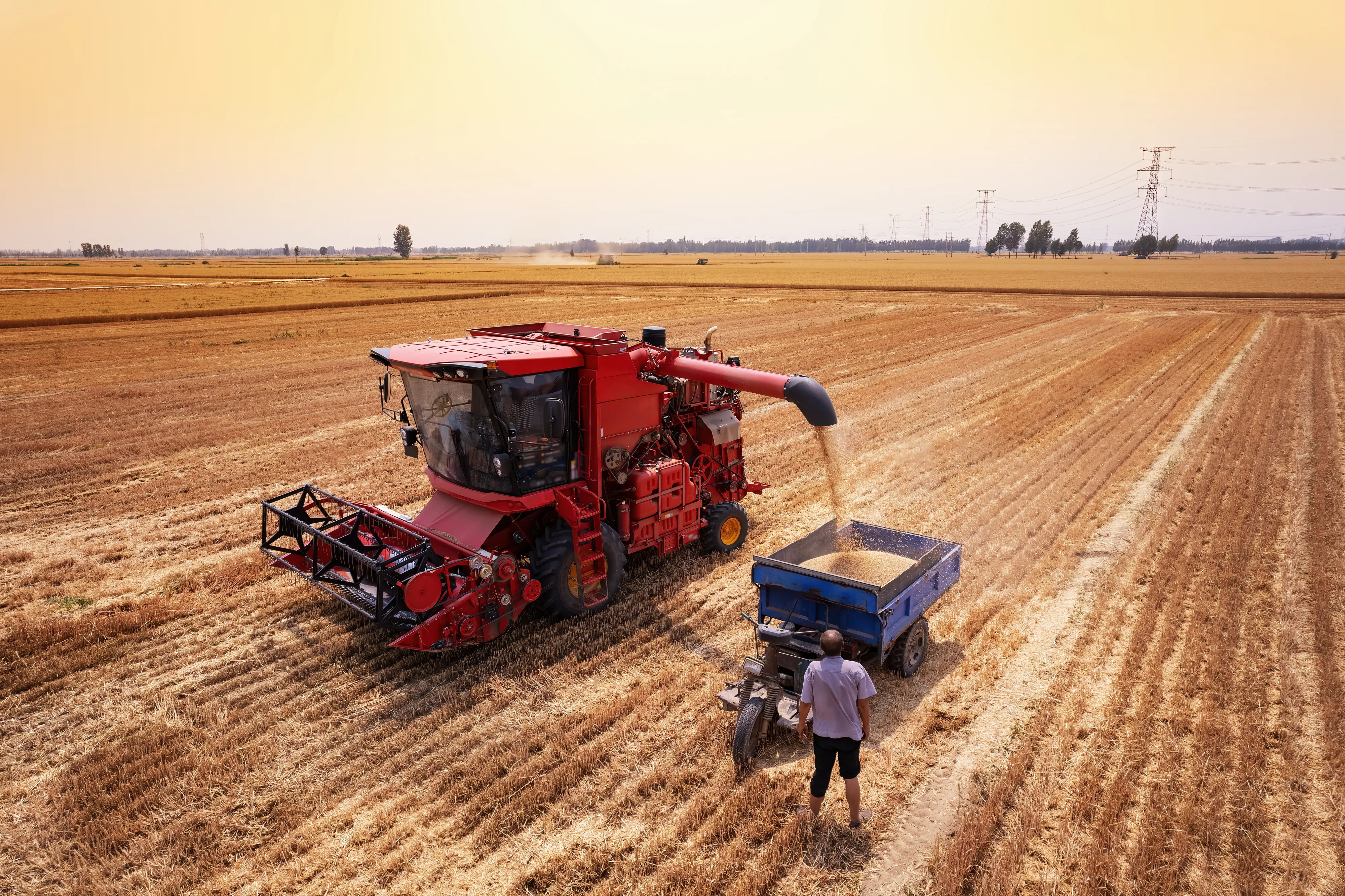 Photo - Absolute Precision: Russian AI-Driven Combines Navigate Every Row With Ease