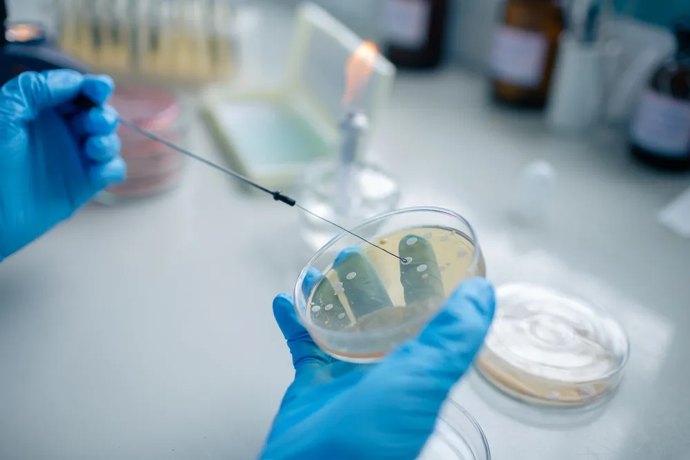 Russian Scientists Develop Software to Decode the Human Microbiome