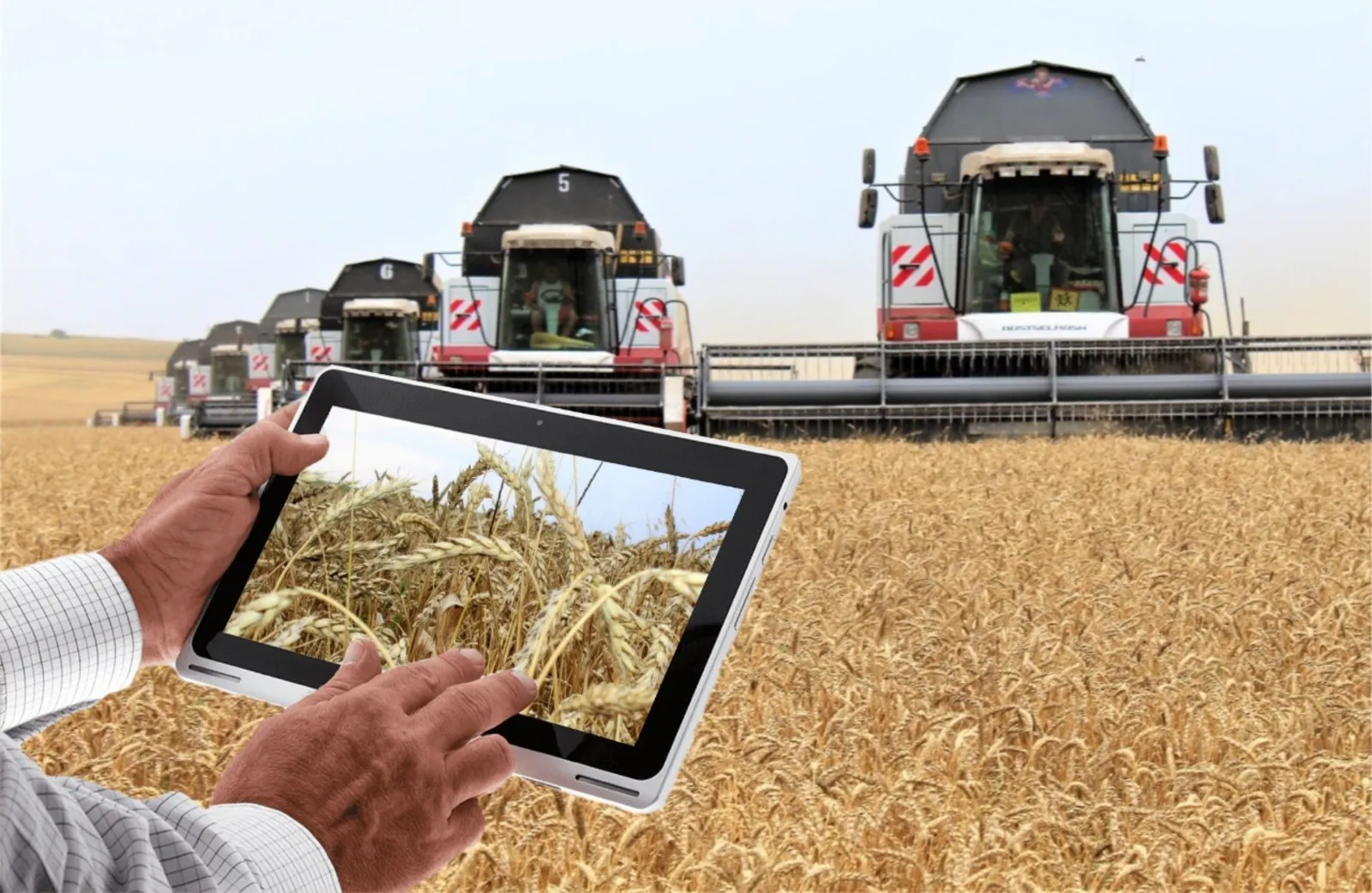Kaluga Region Reviews Digital Transformation in Agriculture