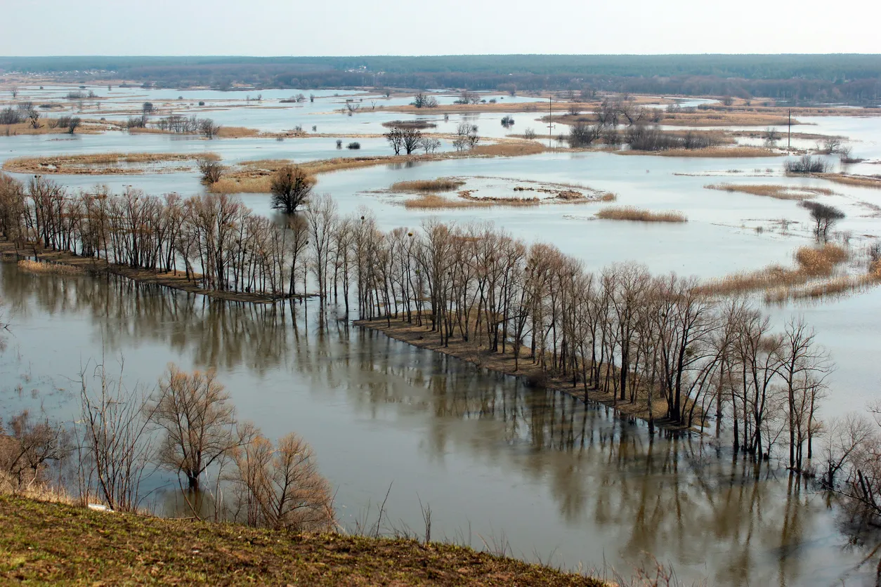 Tyumen Researchers Develop AI Assistant to Help Residents During Floods